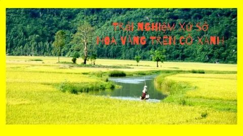 Chuyên gia Hotspot Matrix phân tích: Nhập hội mua sắm thả ga, và marketing video